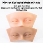 Mô Đun Tập Luyện Khuôn Mặt / Mắt Silicon Cao Cấp - Cảm Giác Như Thật